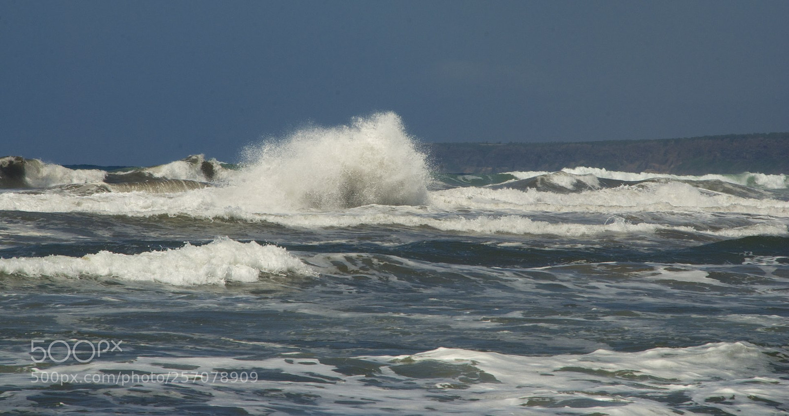 Nikon D60 sample photo. Version () photography