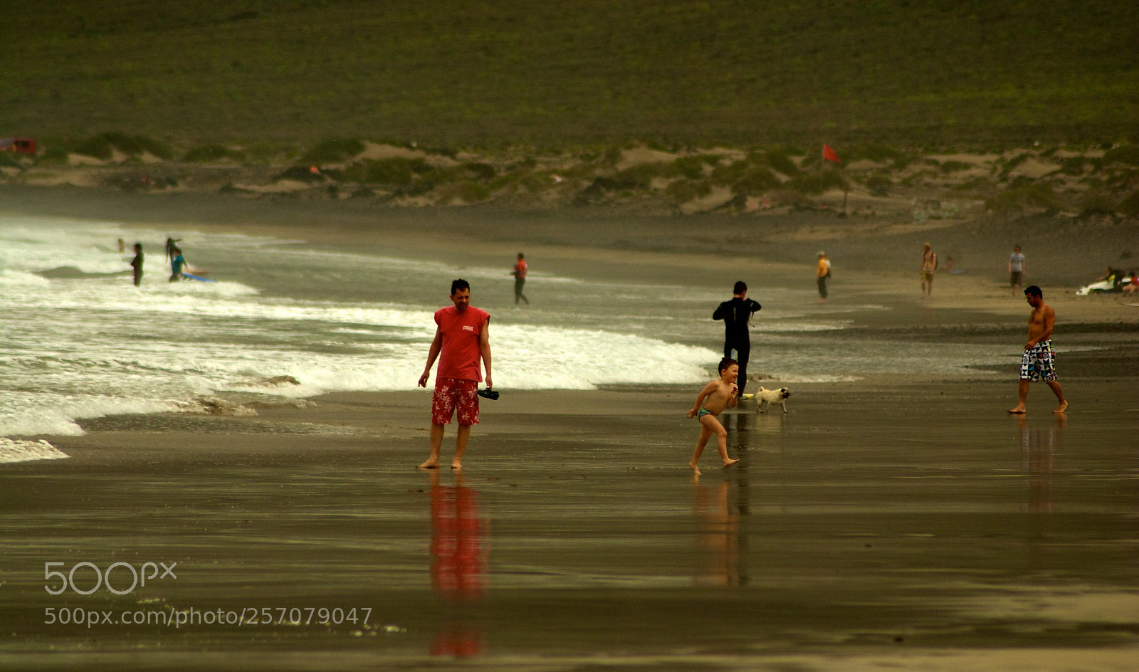 Nikon D60 sample photo. Version photography