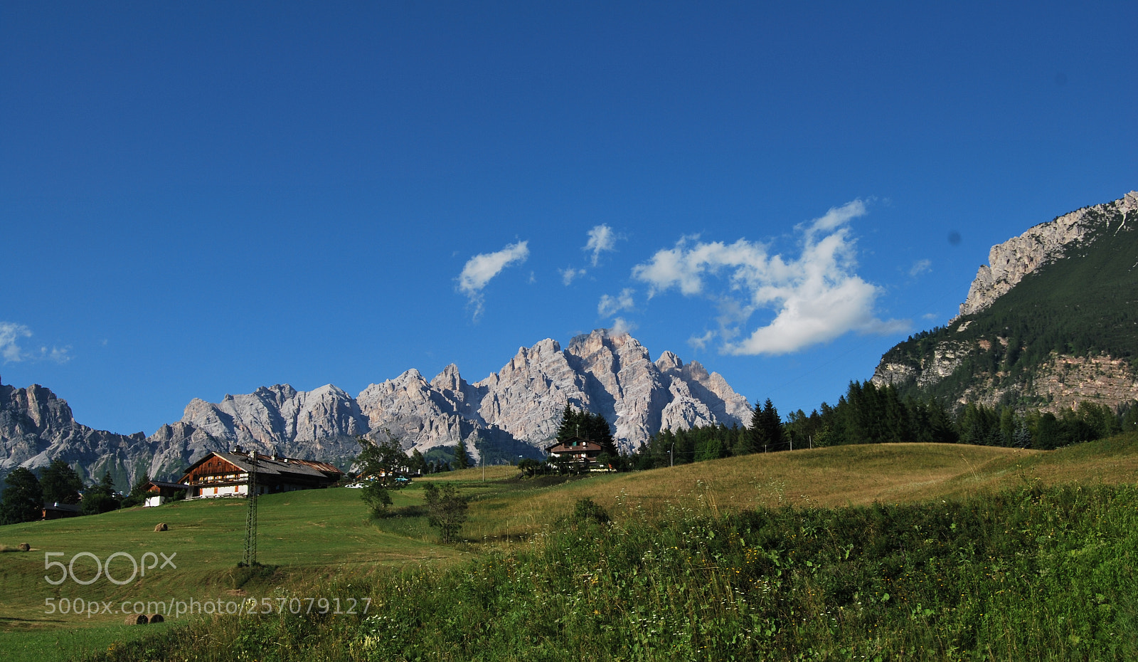 Nikon D60 sample photo. Version photography