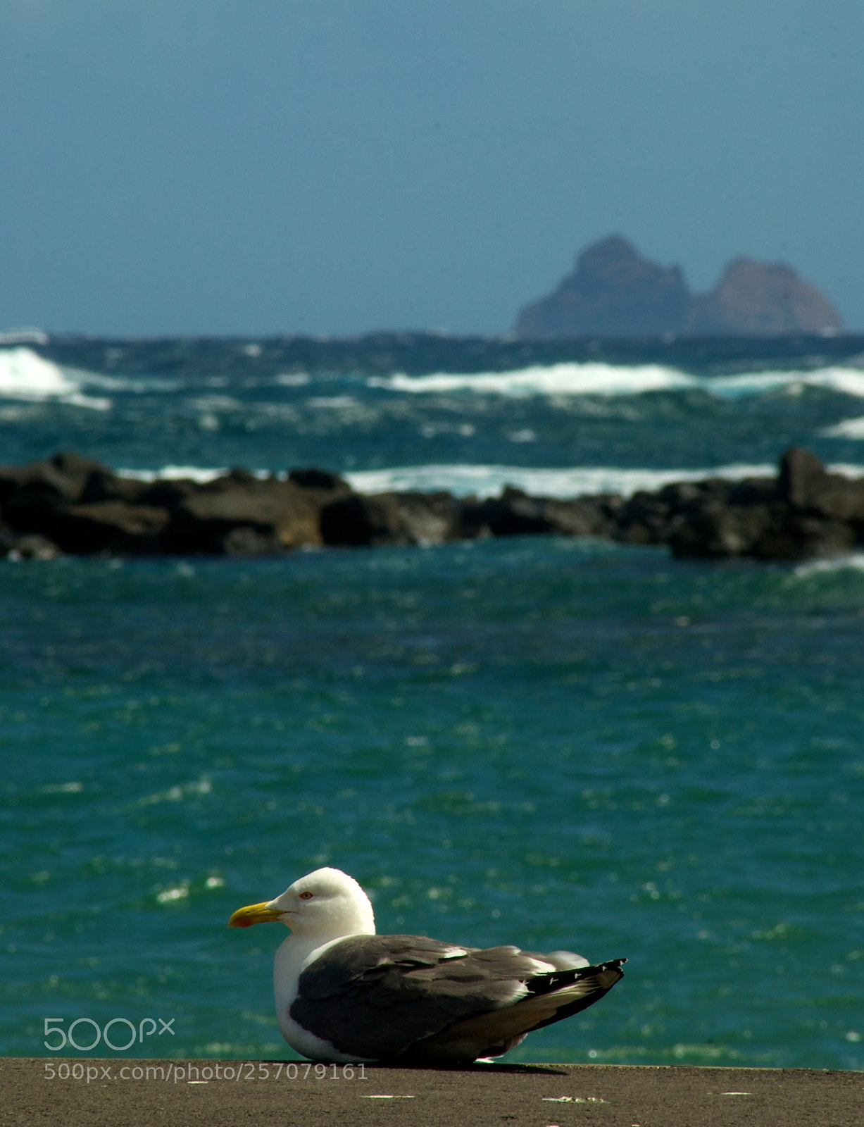 Nikon D60 sample photo. Version photography