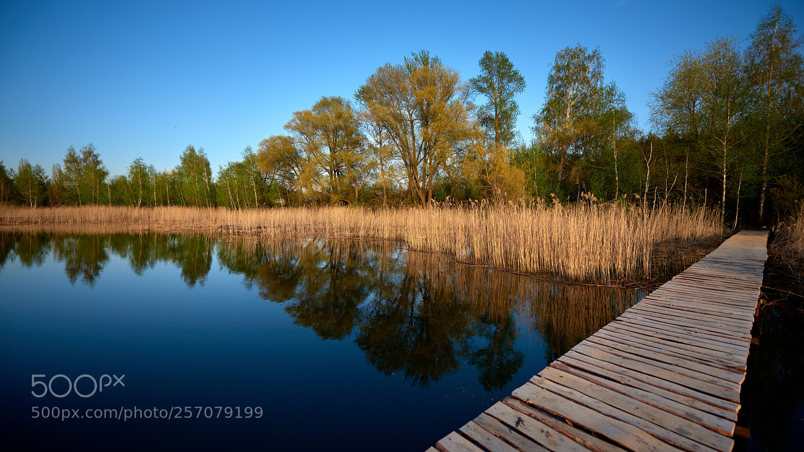 Nikon D750 sample photo. Spring photography