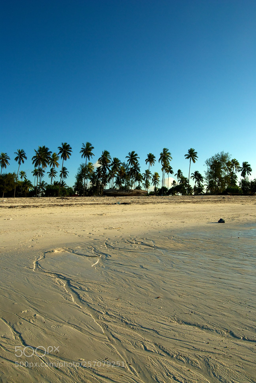 Nikon D60 sample photo. Version photography