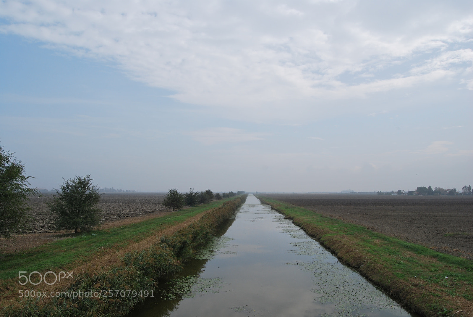 Nikon D60 sample photo. Version photography
