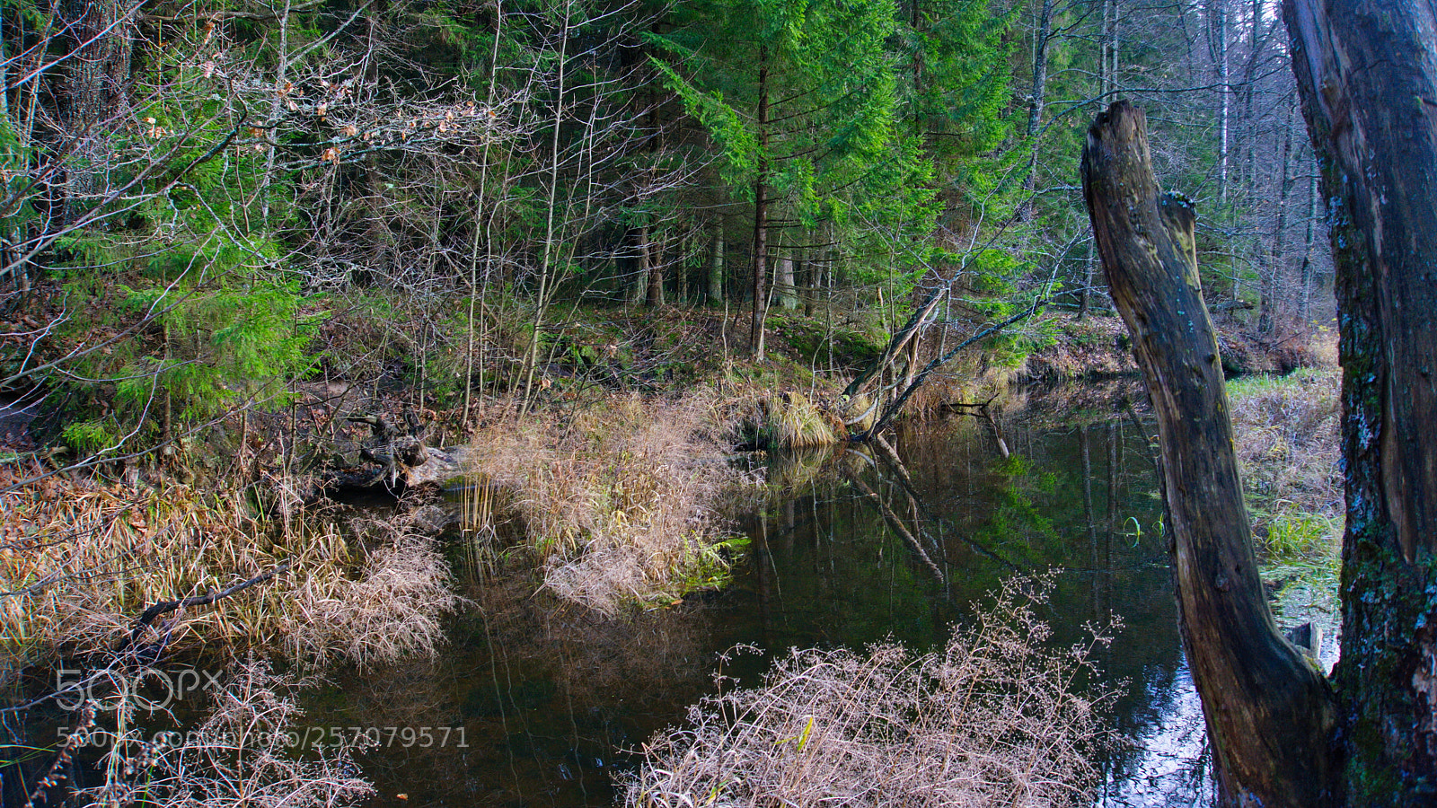 Sony a6000 sample photo. Домашововариант photography