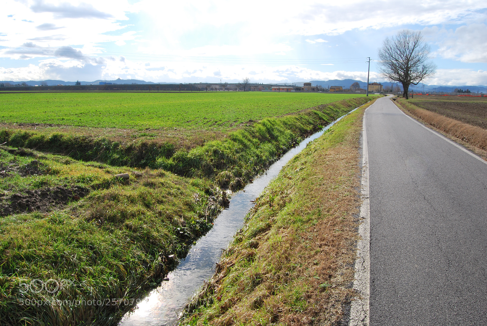 Nikon D60 sample photo. Photo (t) photography