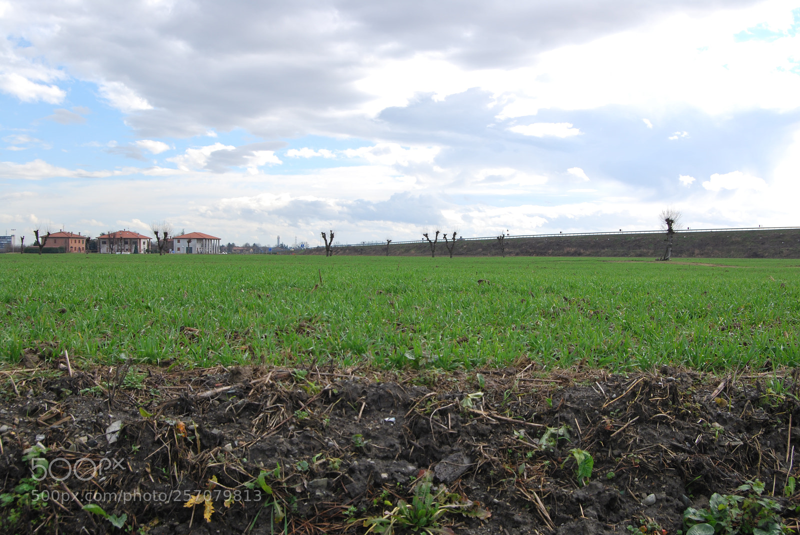 Nikon D60 sample photo. Photo (t) photography
