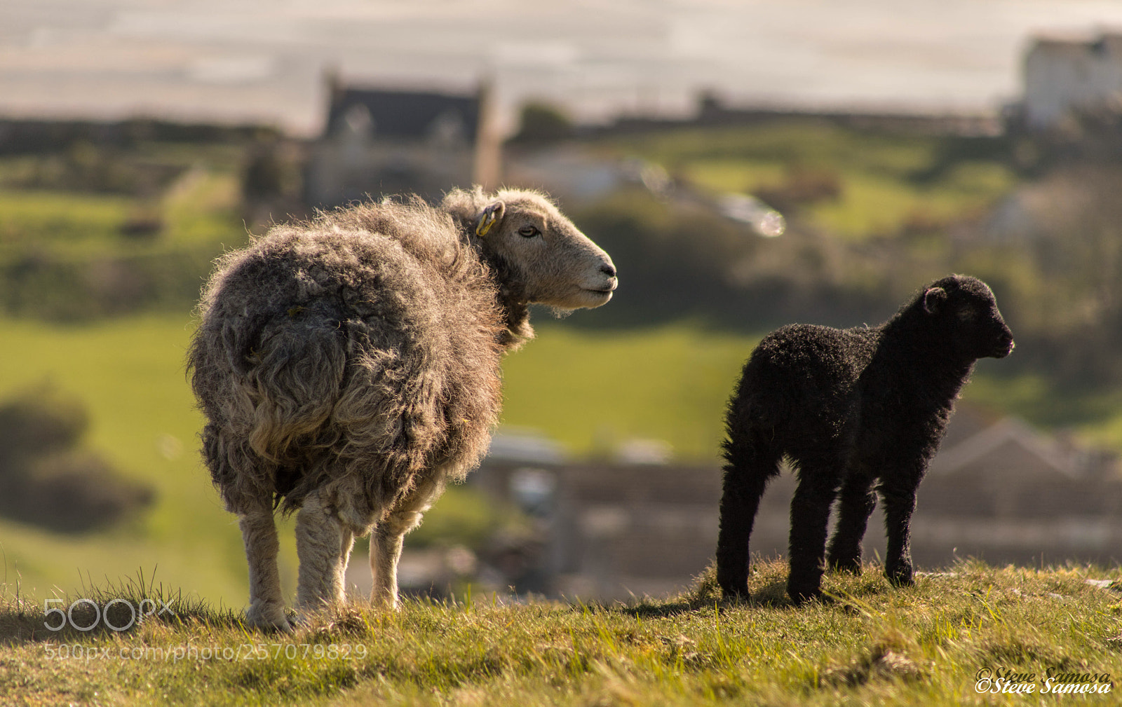 Canon EOS 6D Mark II sample photo. Hill walkers on the photography
