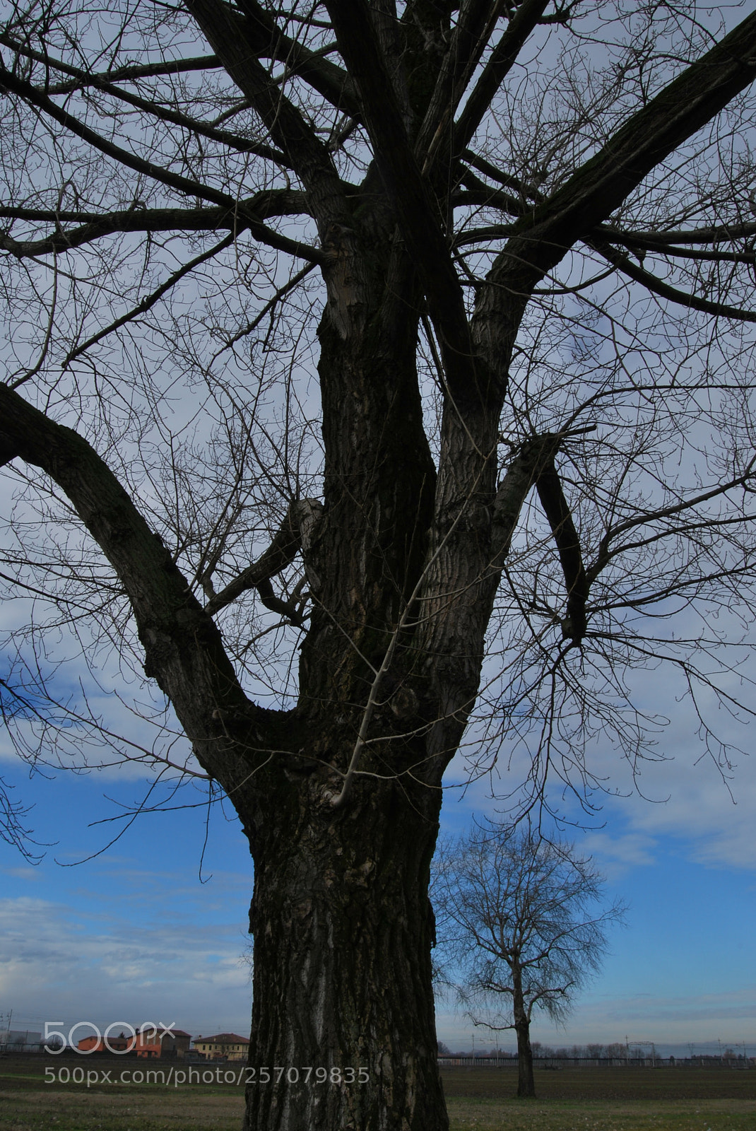 Nikon D60 sample photo. Photo (t) photography