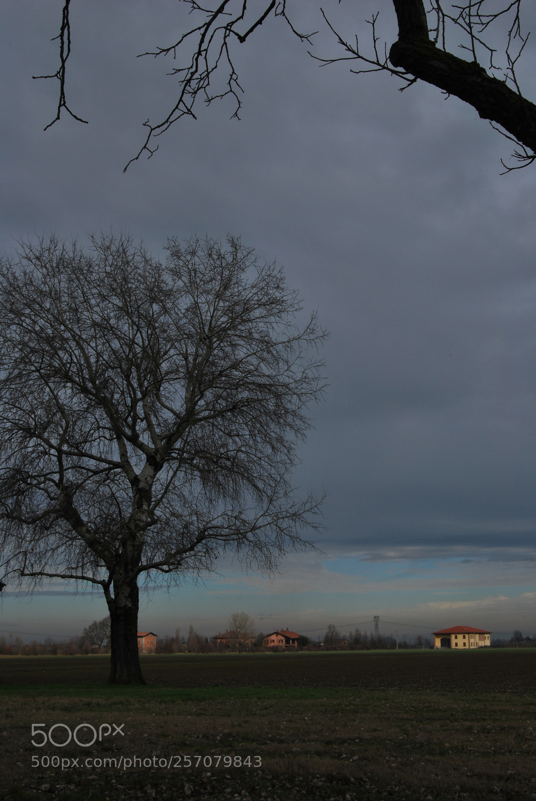 Nikon D60 sample photo. Photo (t) photography