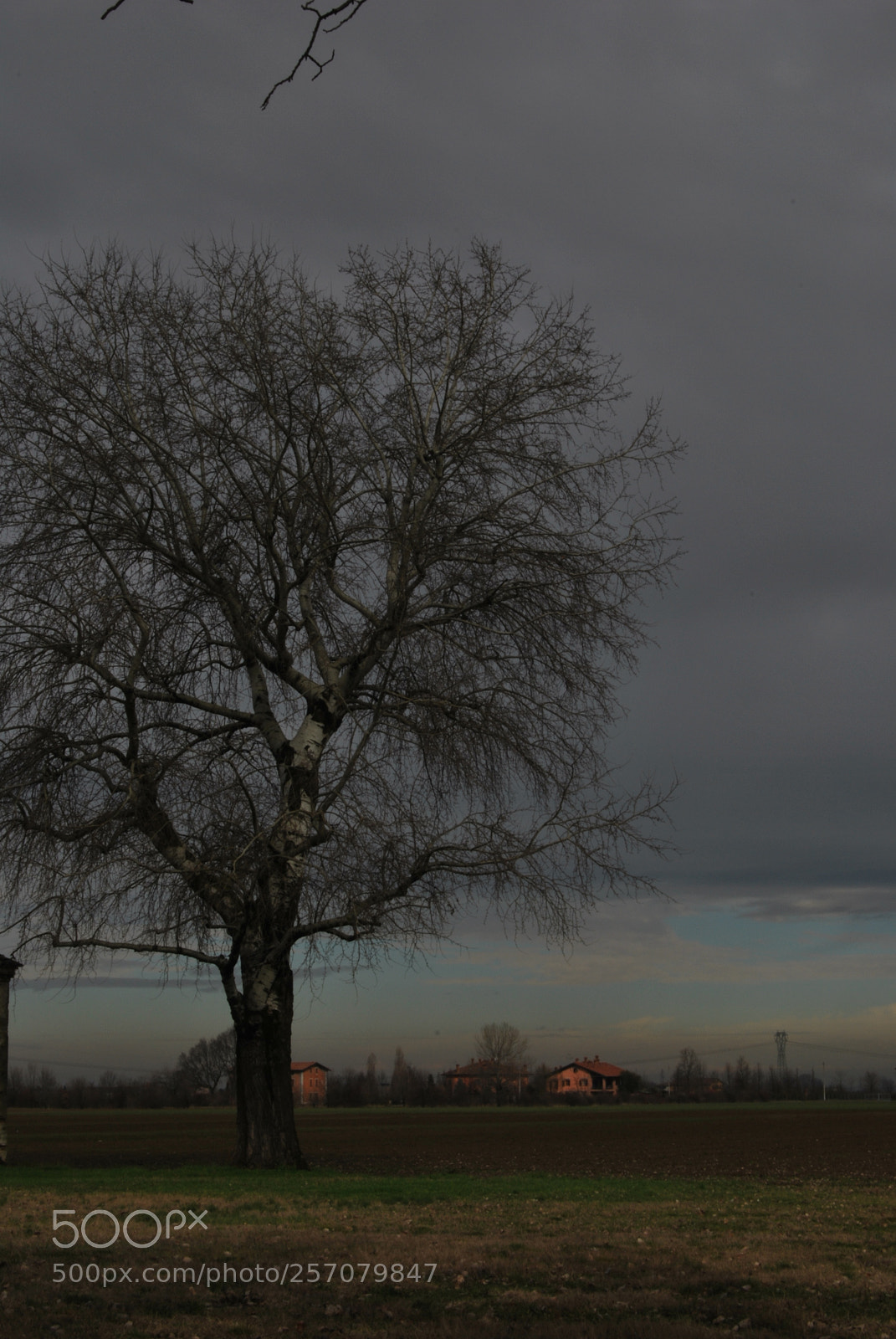 Nikon D60 sample photo. Photo (t) photography