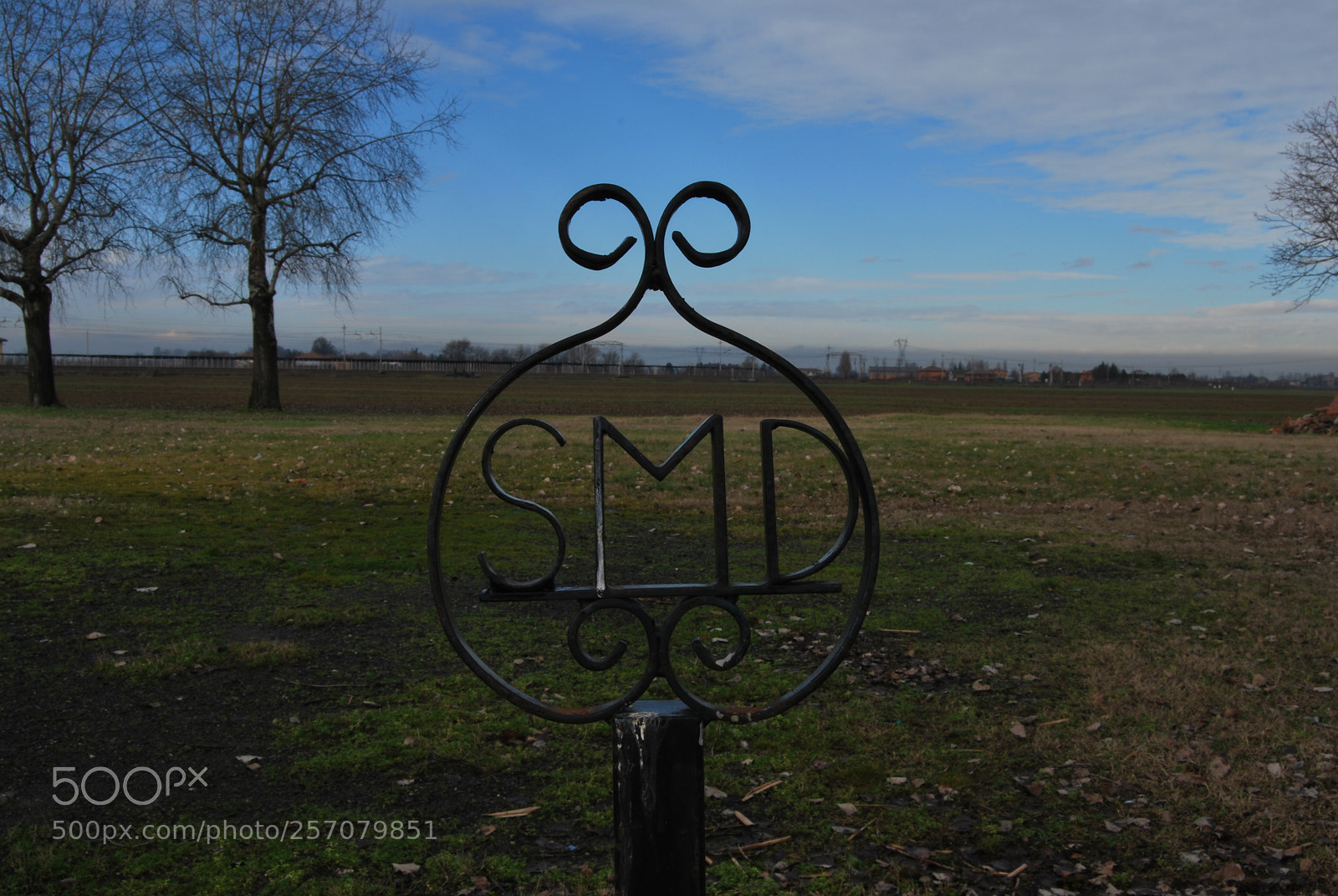 Nikon D60 sample photo. Photo (t) photography