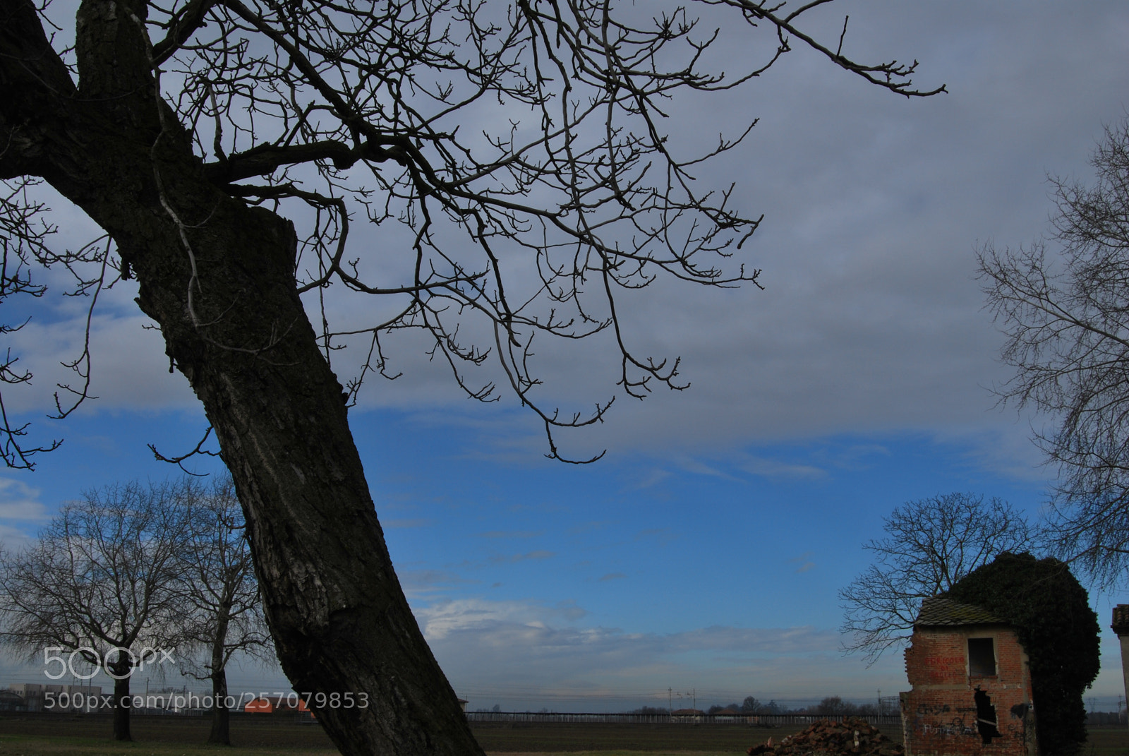 Nikon D60 sample photo. Photo (t) photography