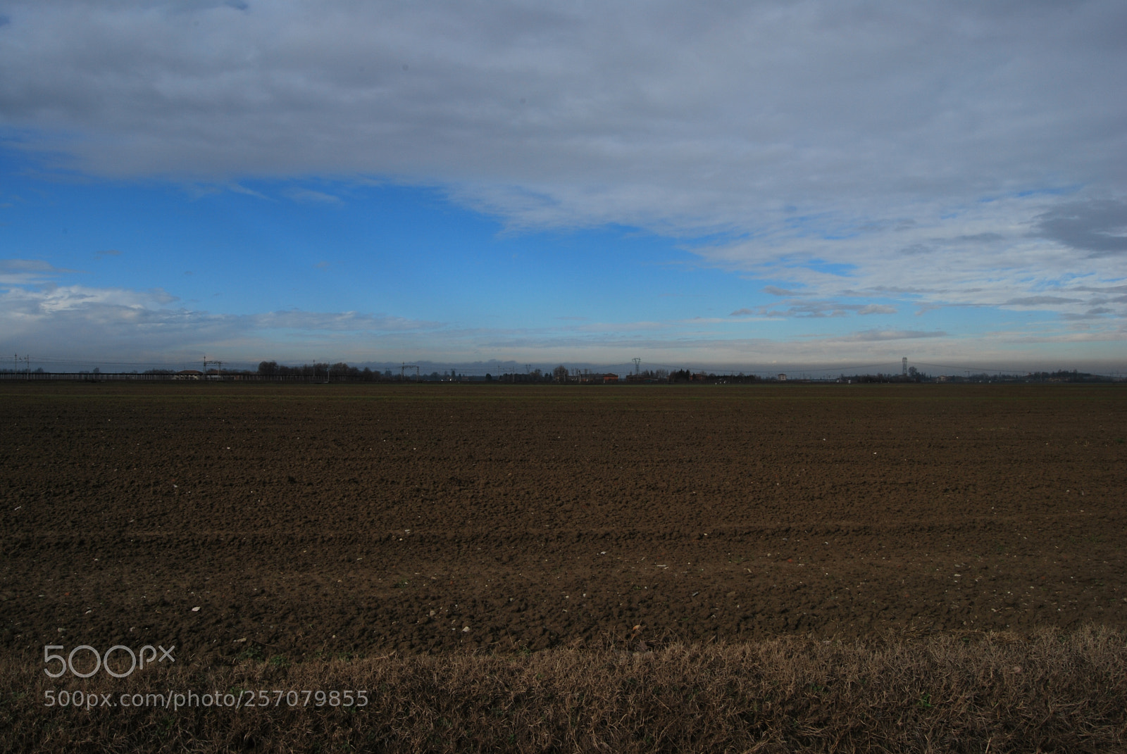 Nikon D60 sample photo. Photo (t) photography