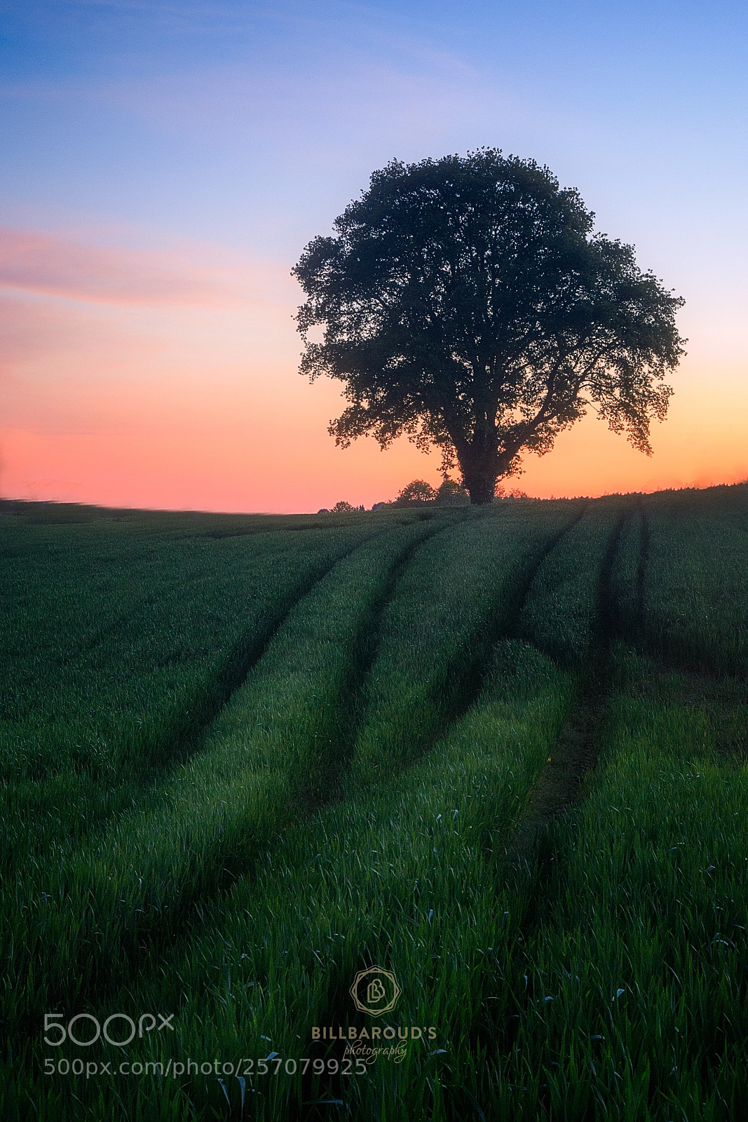 Canon EOS 6D sample photo. Sunset in limousin photography
