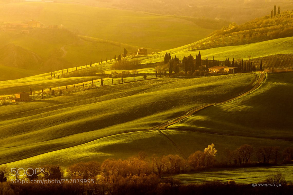 Canon EOS 80D sample photo. Tuscan evening photography