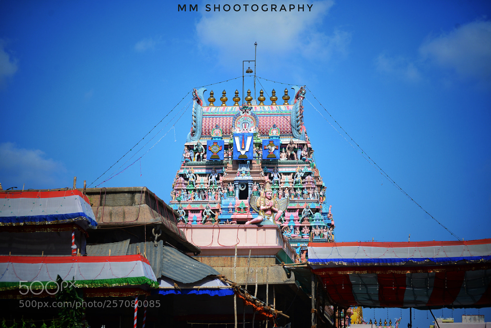 Nikon D610 sample photo. Triplicane parthasarathy temple photography