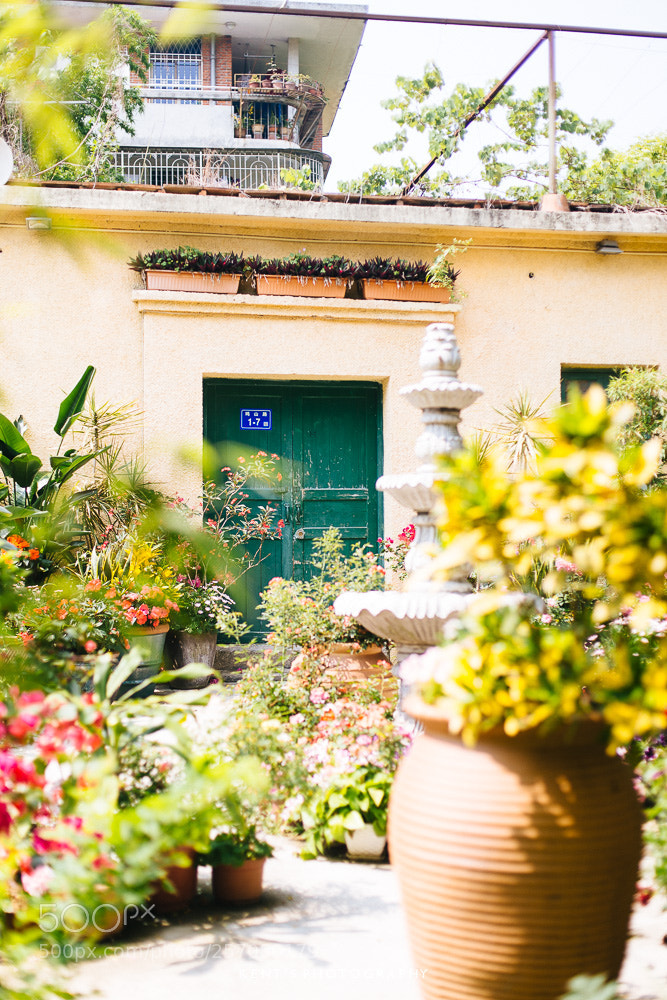Canon EOS 6D sample photo. Green garden photography