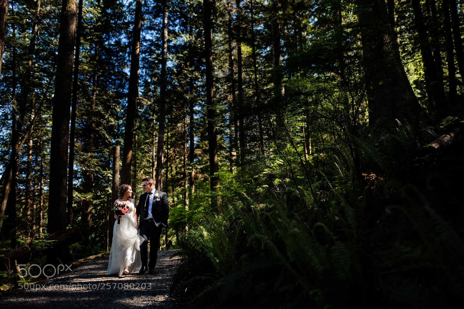 Nikon D850 sample photo. Untitled photography