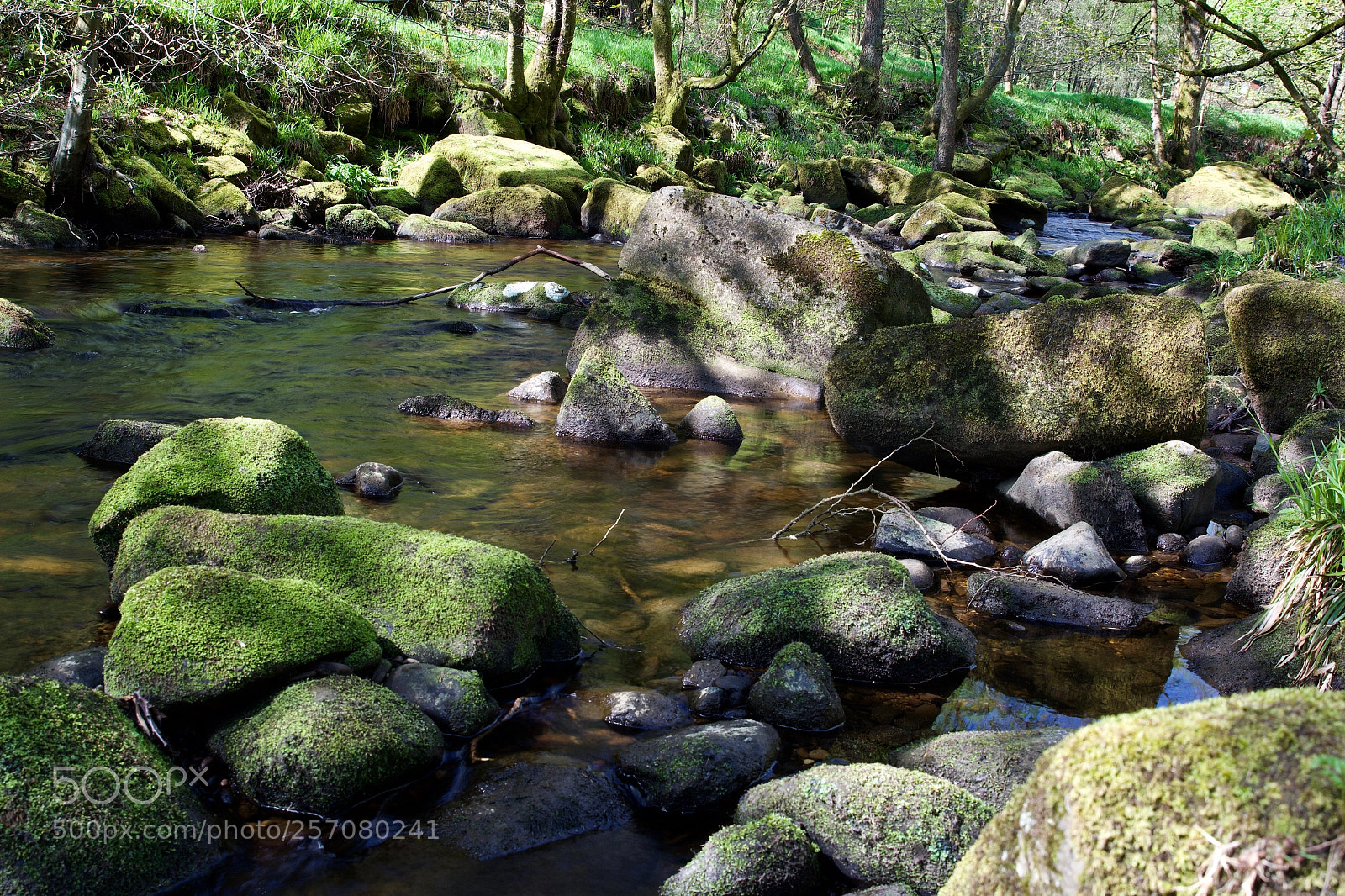 Canon EOS 60D sample photo. Hebden beck photography