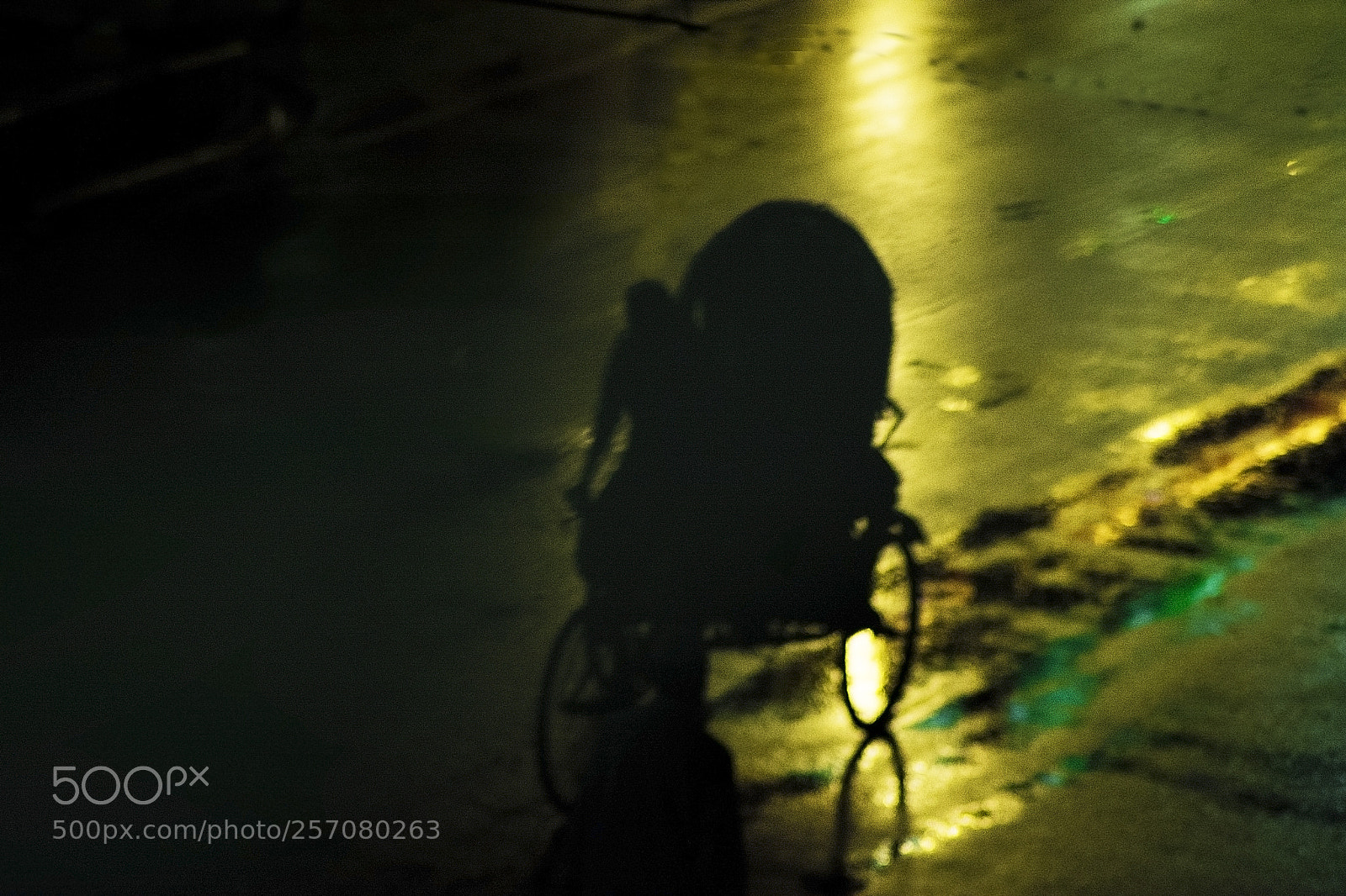 Nikon D7100 sample photo. Blurry evening photography