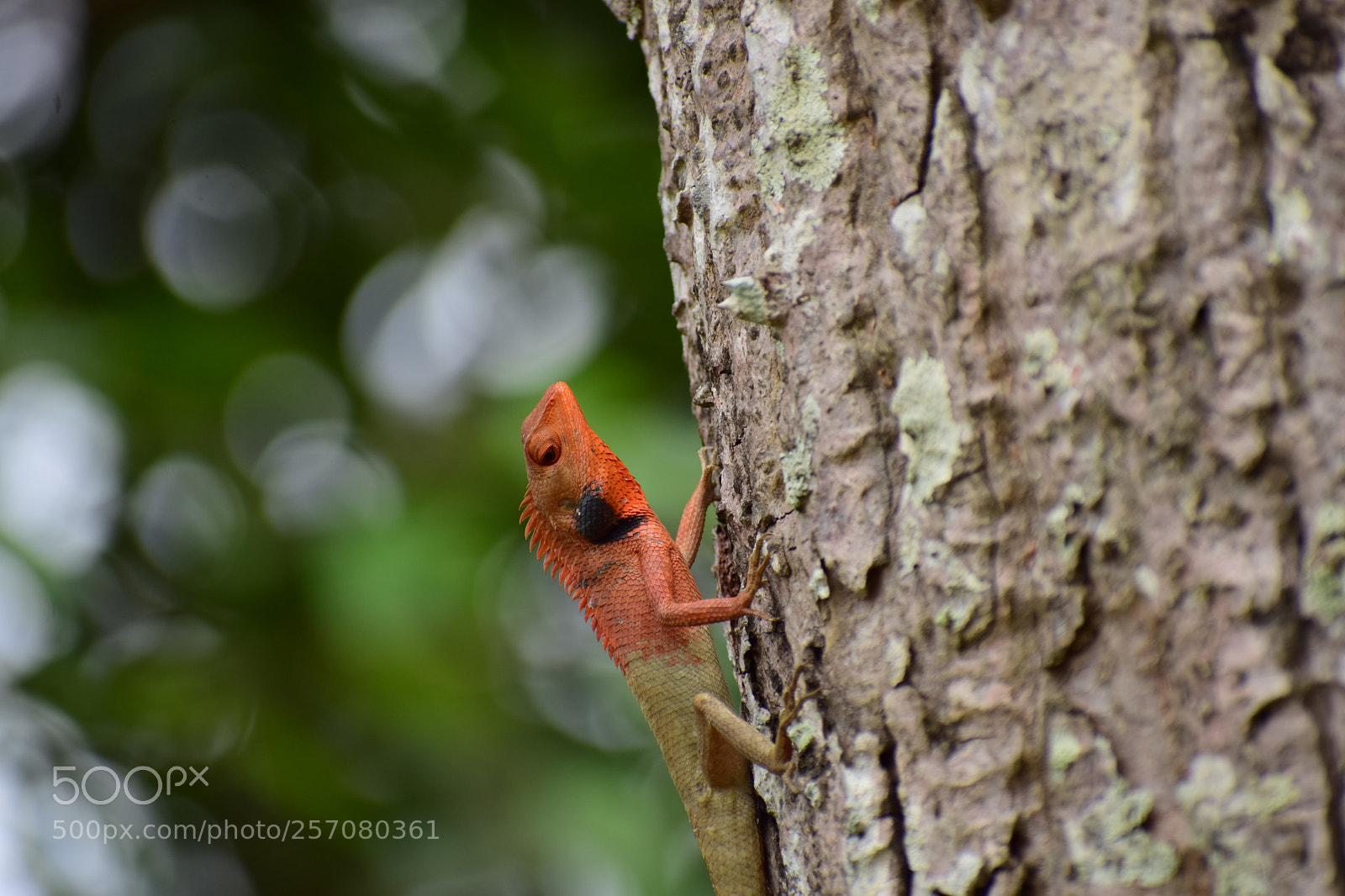 Nikon D5300 sample photo. Untitled photography