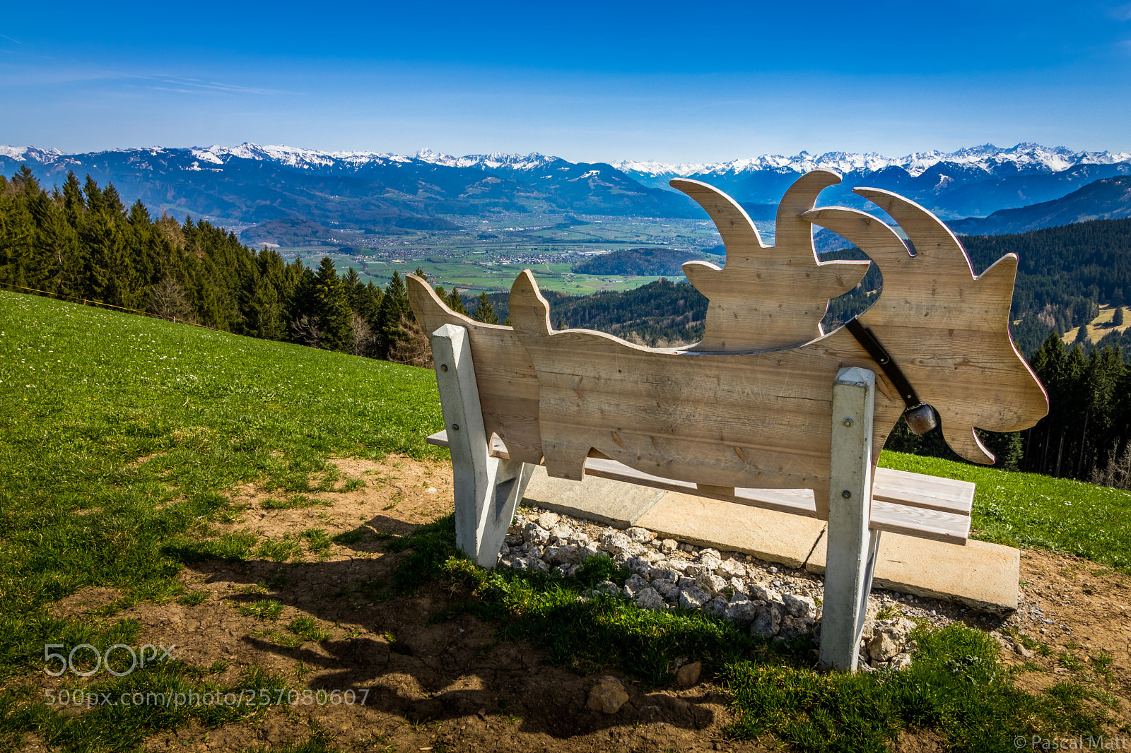 Canon EOS 760D (EOS Rebel T6s / EOS 8000D) sample photo. Bench photography