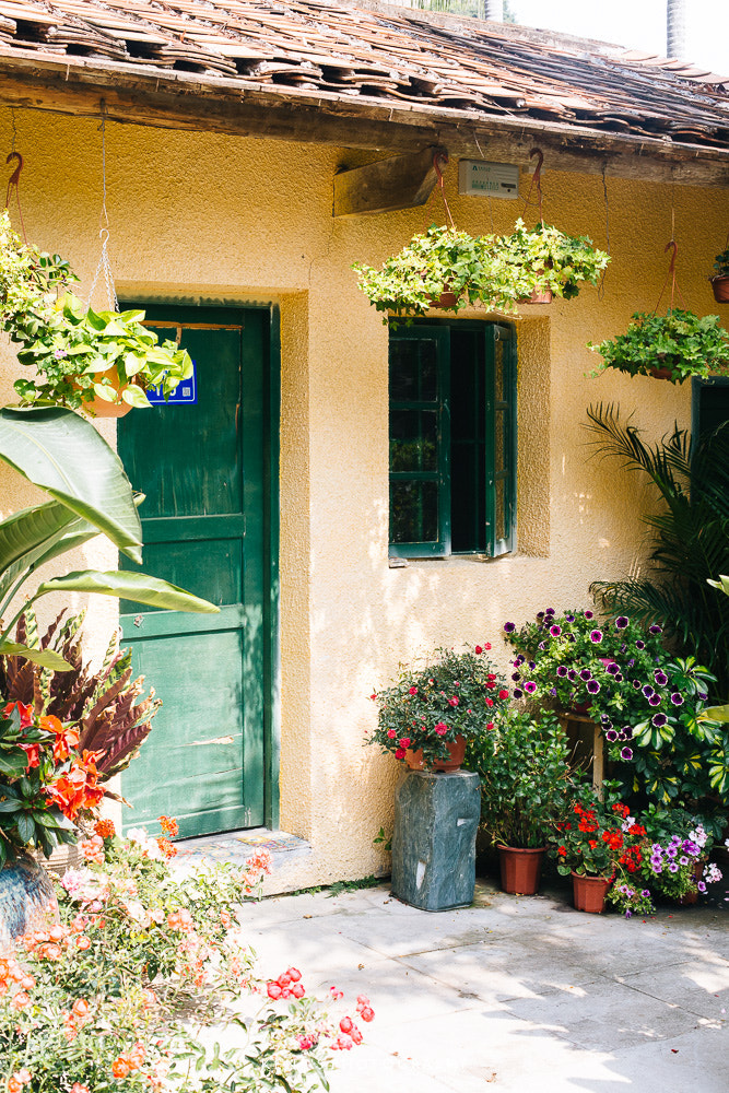 Canon EOS 6D sample photo. Green garden photography