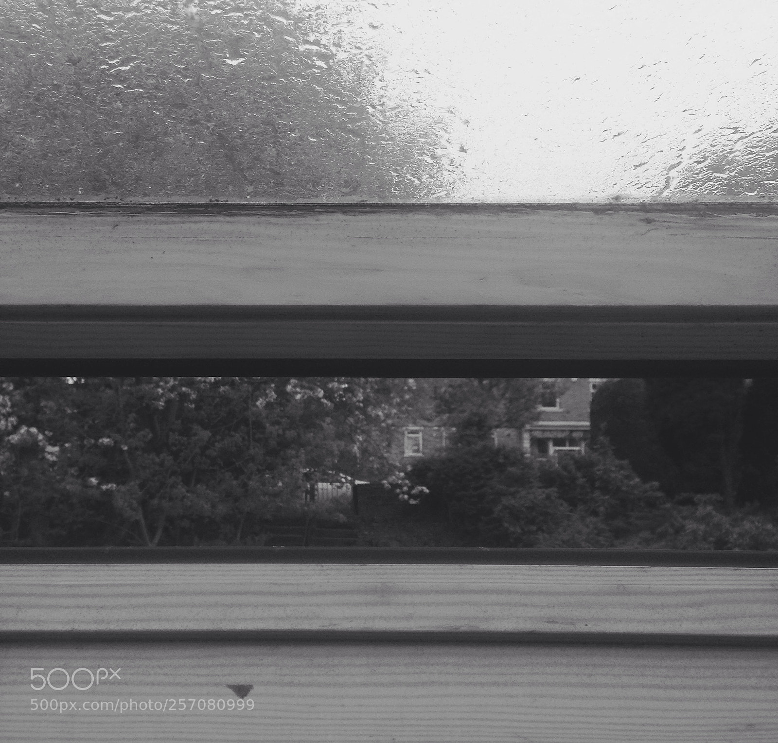 Apple iPhone 5c sample photo. Rainy days photography