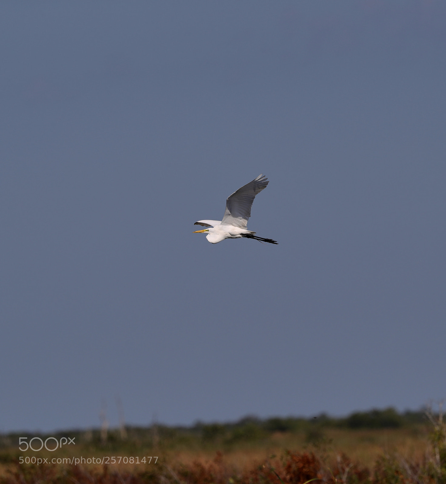 Canon EOS-1D X Mark II sample photo. 05-08-18-0016720 1.jpg photography