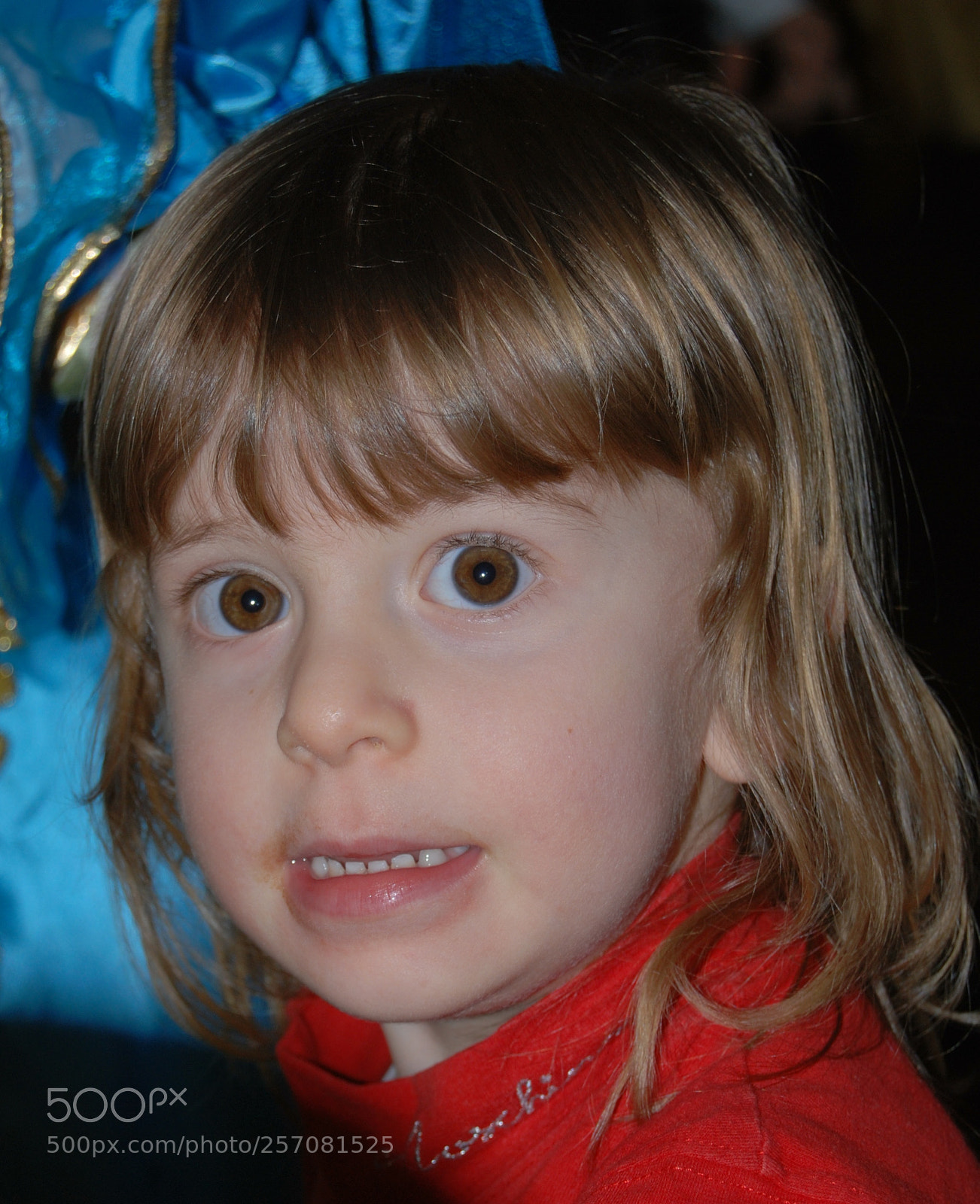 Nikon D60 sample photo. Photo (t) photography