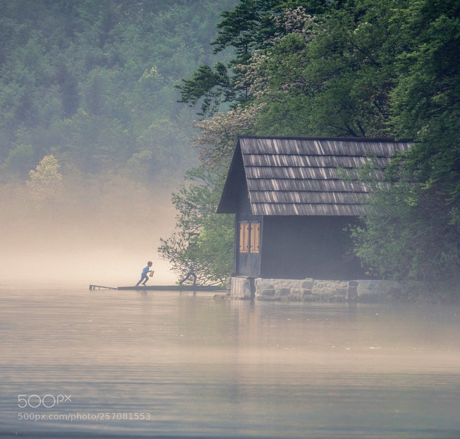 Sony Cyber-shot DSC-RX10 IV sample photo. Lake bohinj photography