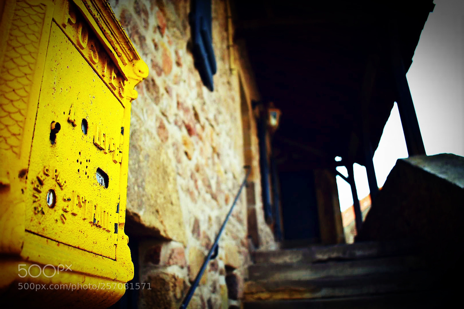 Nikon D3400 sample photo. Le jaune photography