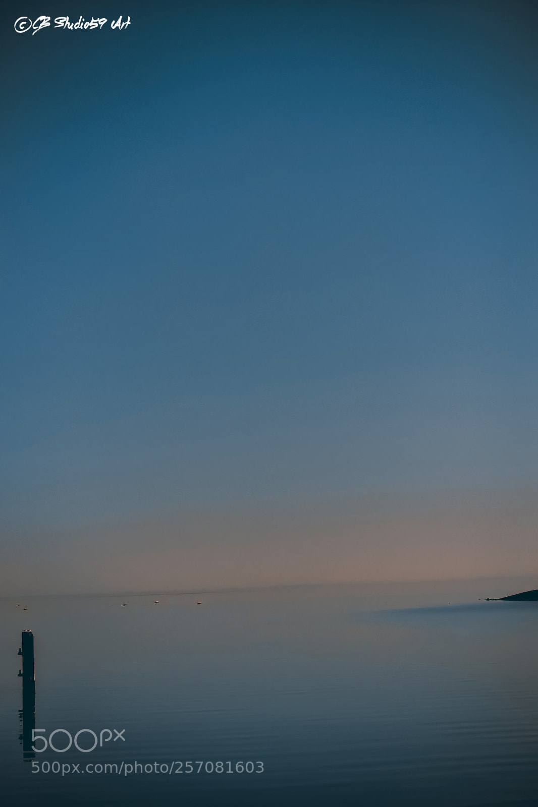 Nikon D3100 sample photo. ''summer'' photography