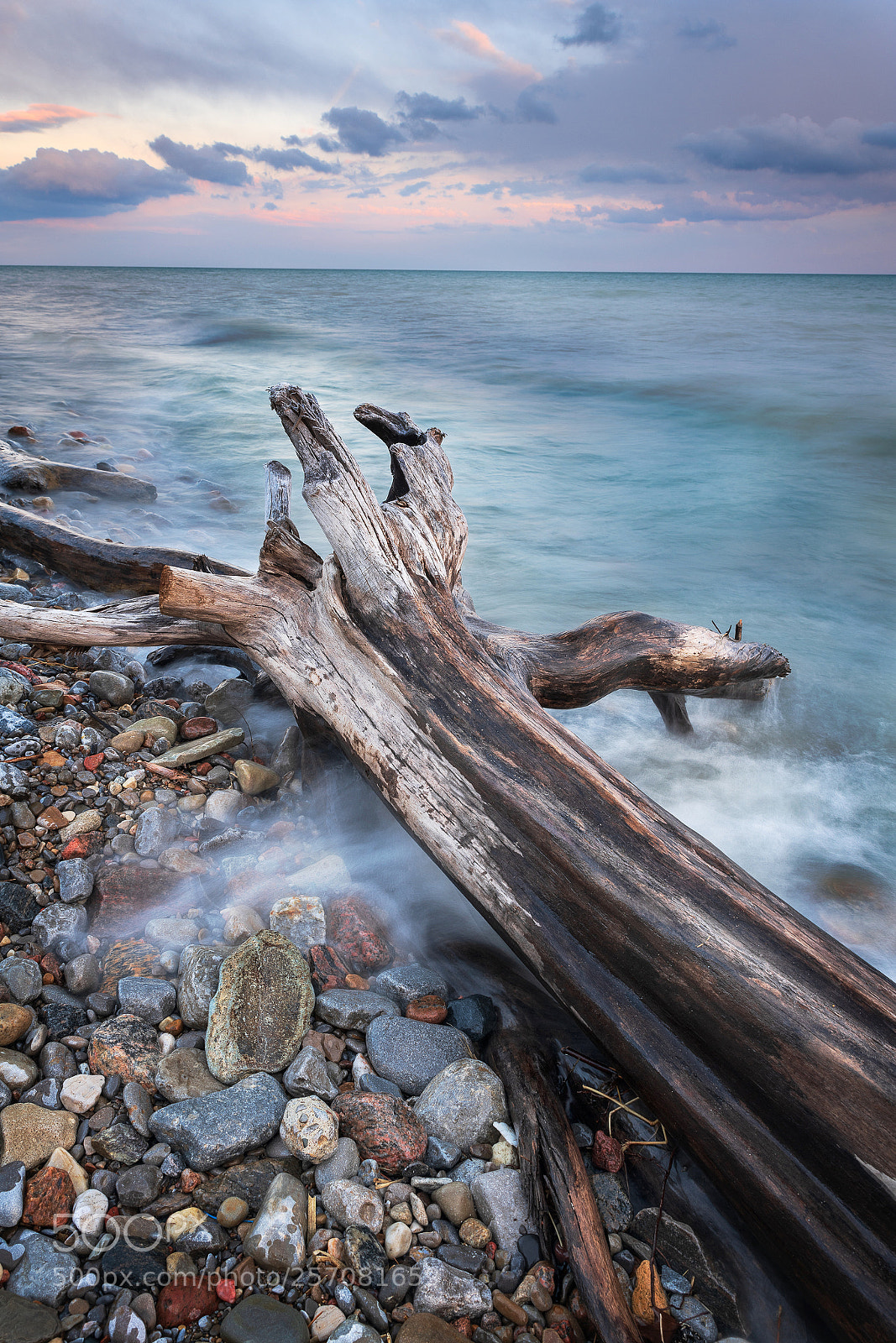 Nikon D850 sample photo. Driftwood photography