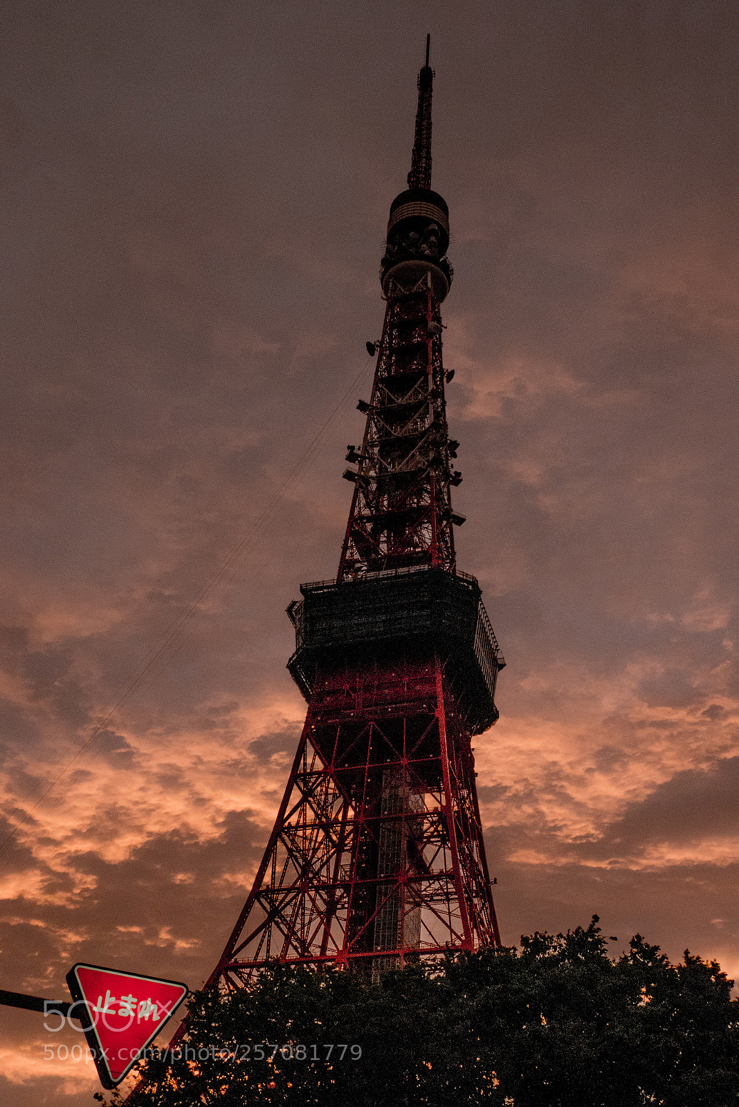Panasonic Lumix DMC-G7 sample photo. Tokyo tower photography