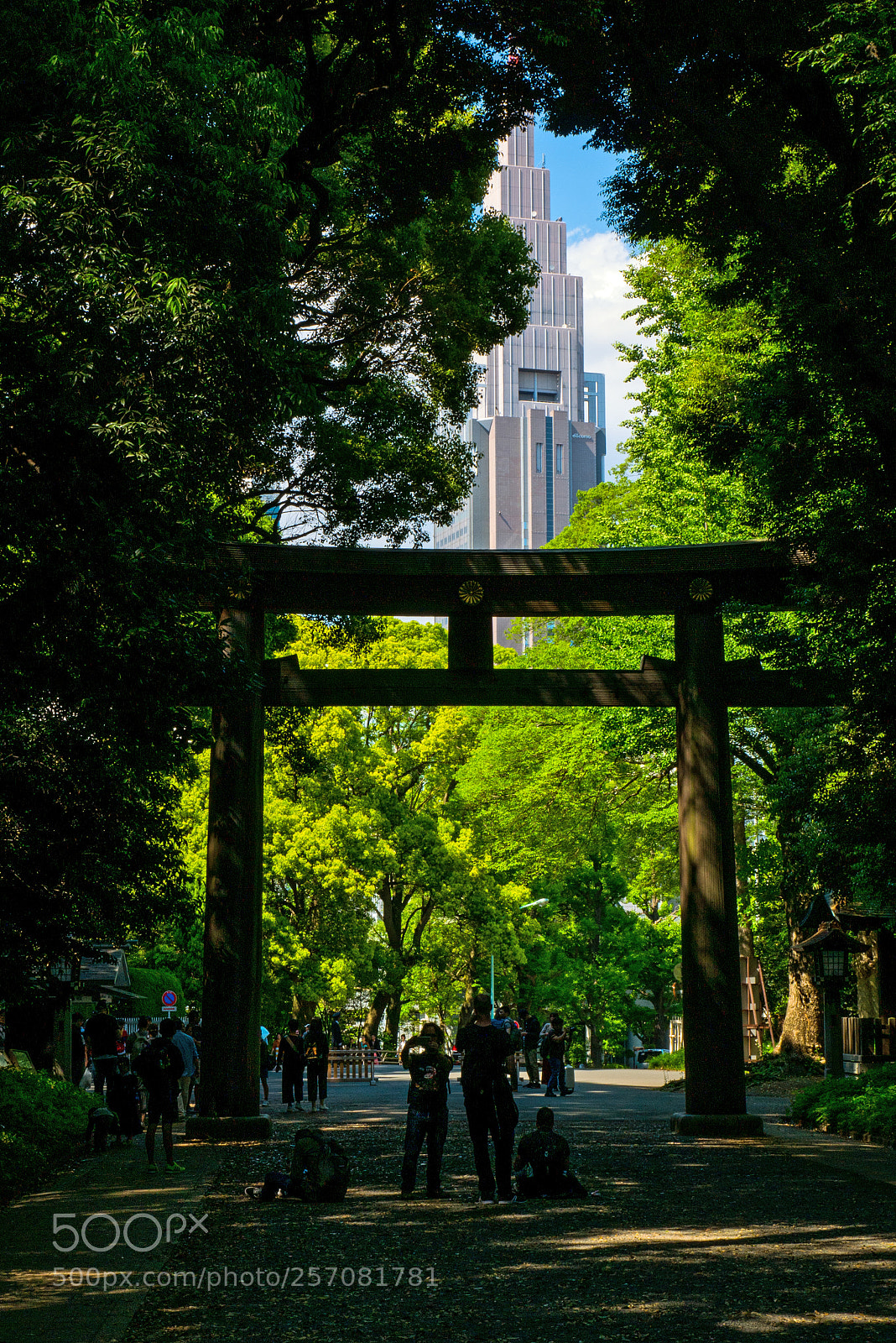 Panasonic Lumix DMC-G7 sample photo. Torii and skyscraper photography