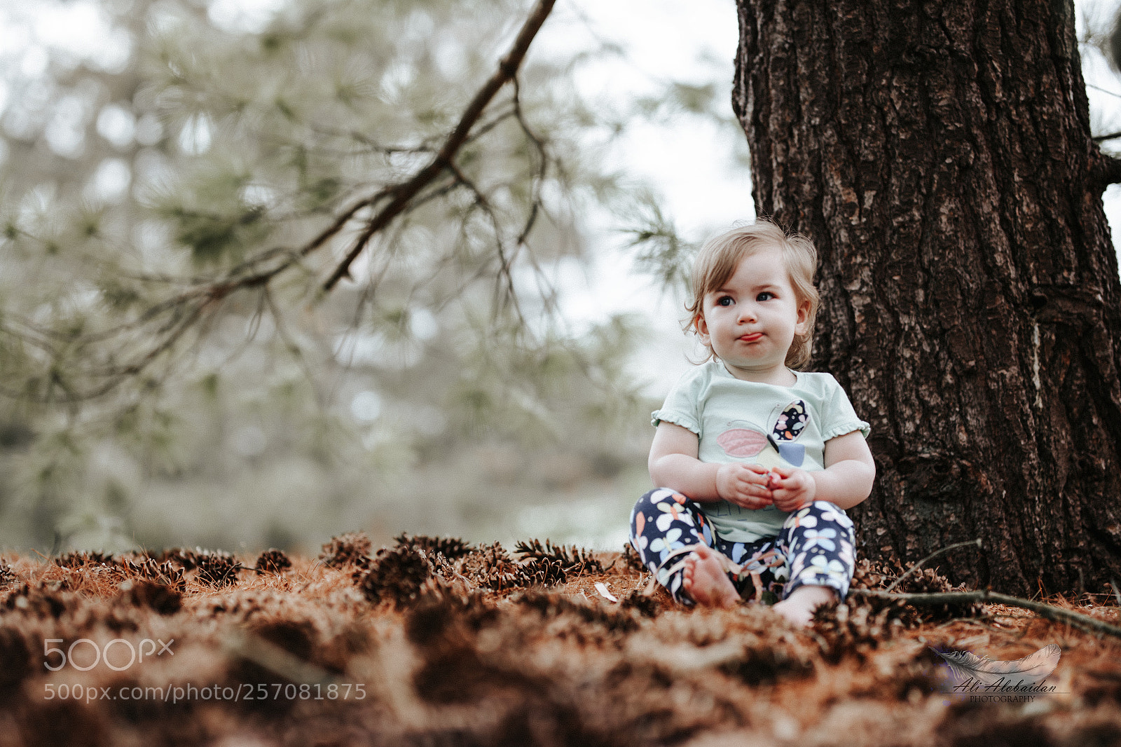 Canon EOS 6D sample photo. Violet photography