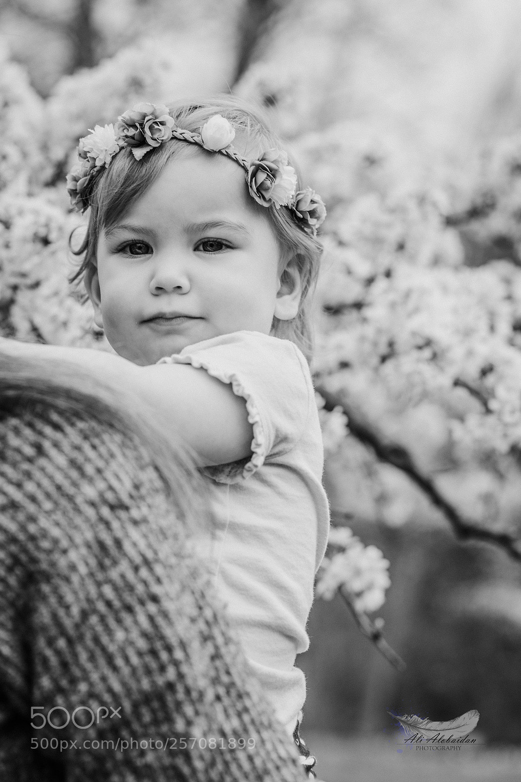 Canon EOS 6D sample photo. Violet photography