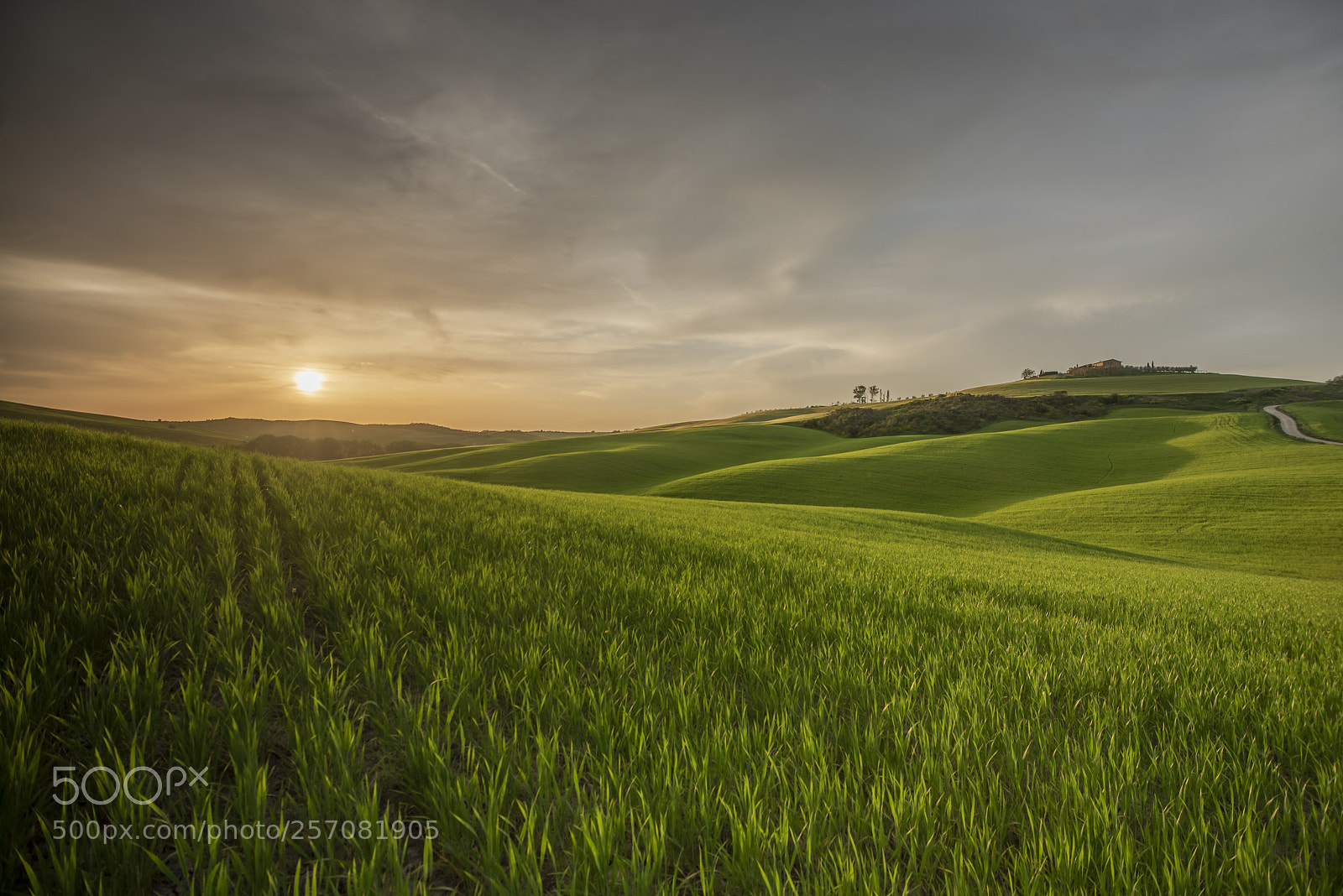 Nikon D750 sample photo. Waving at tuscany photography