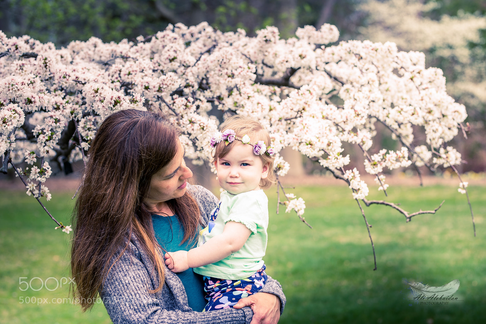 Canon EOS 6D sample photo. Violet photography