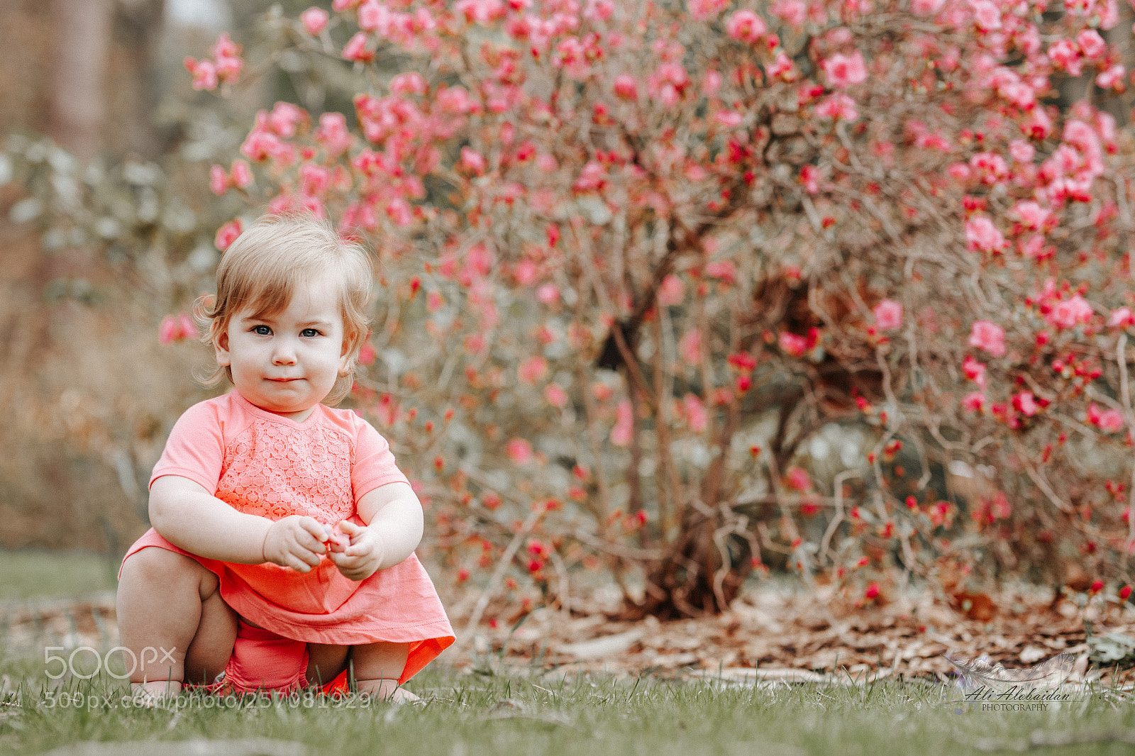 Canon EOS 6D sample photo. Violet photography