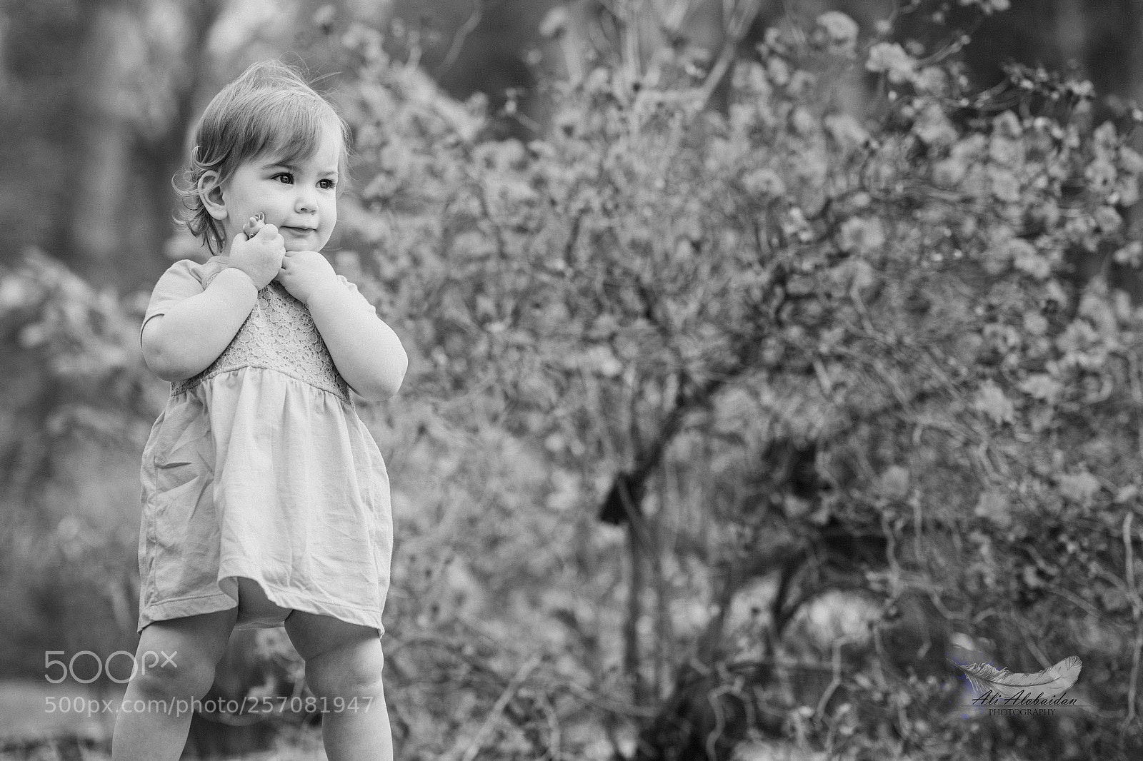 Canon EOS 6D sample photo. Violet photography