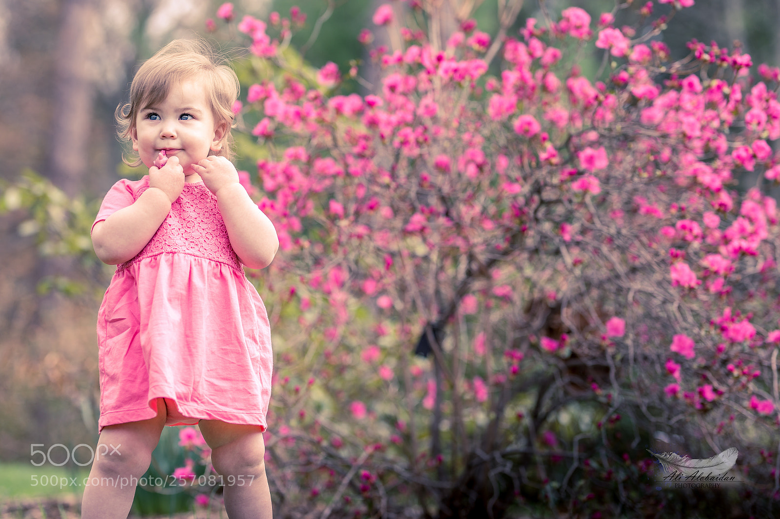 Canon EOS 6D sample photo. Violet photography