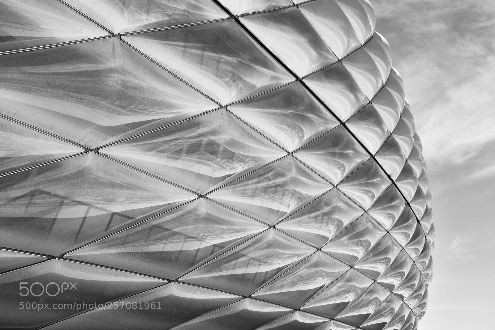 Nikon D810 sample photo. Allianz stadium photography