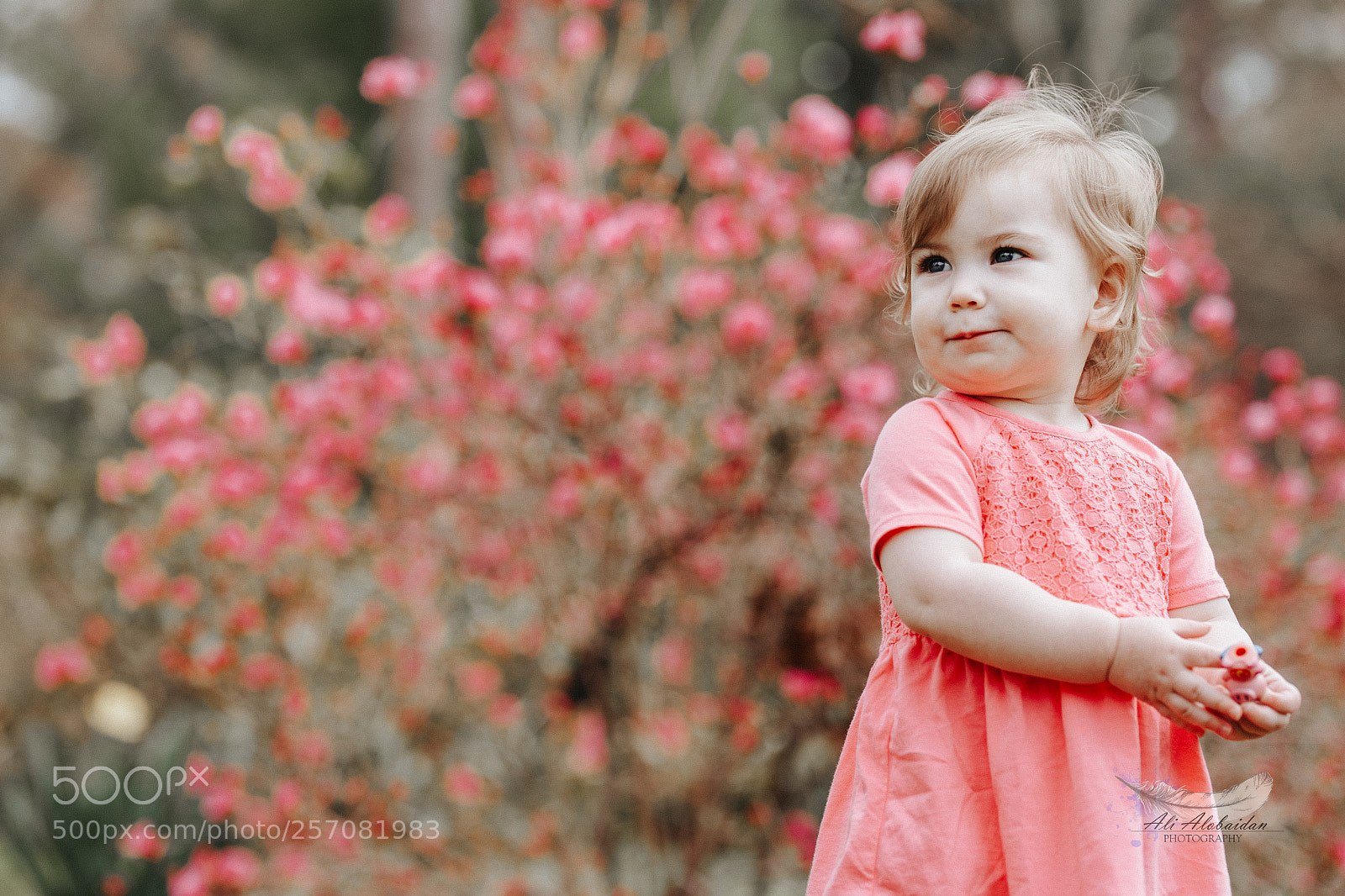 Canon EOS 6D sample photo. Violet photography