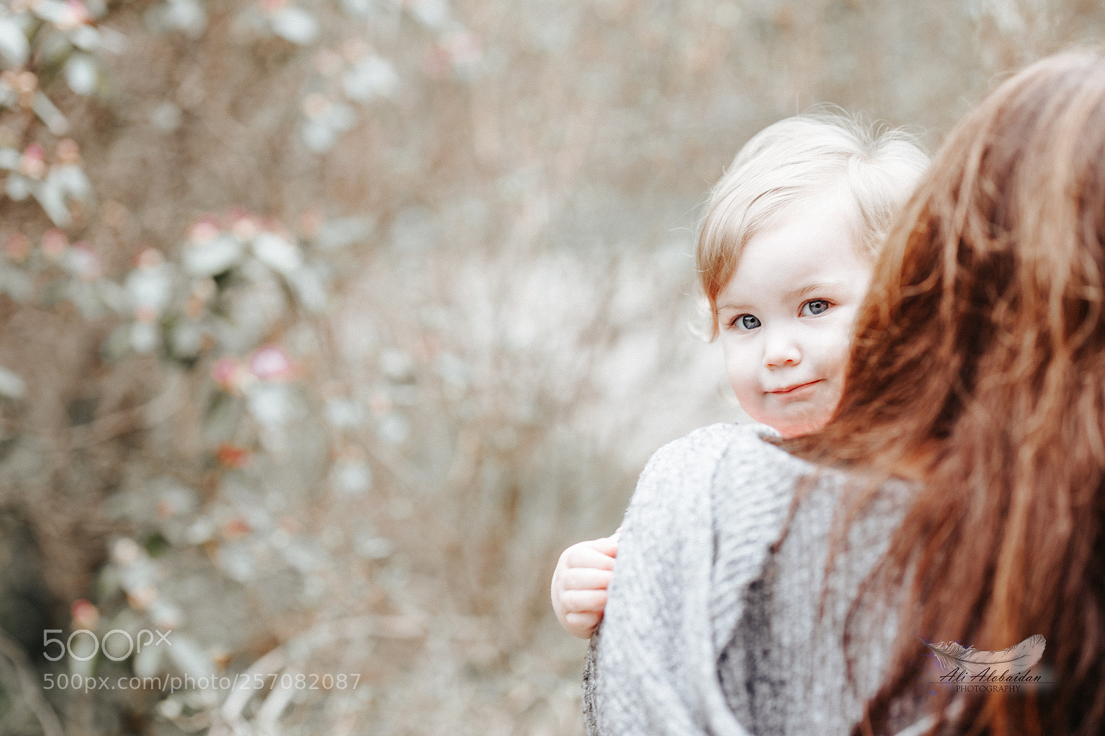 Canon EOS 6D sample photo. Violet photography