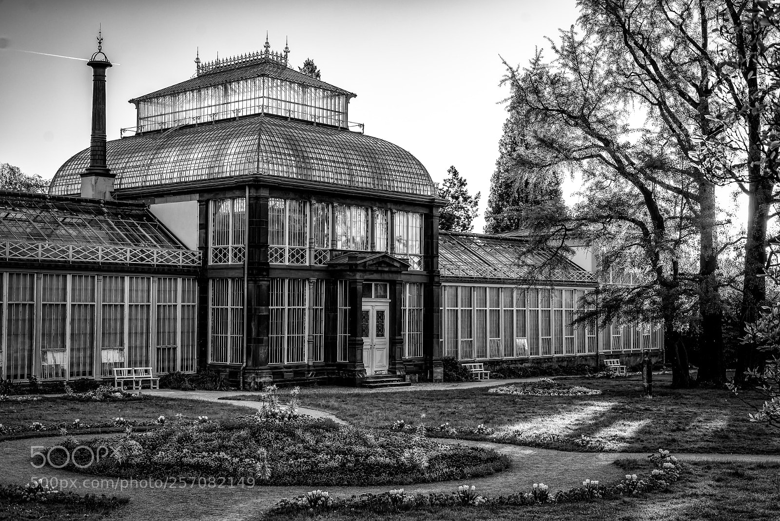 Nikon D750 sample photo. Gewächshaus kassel photography