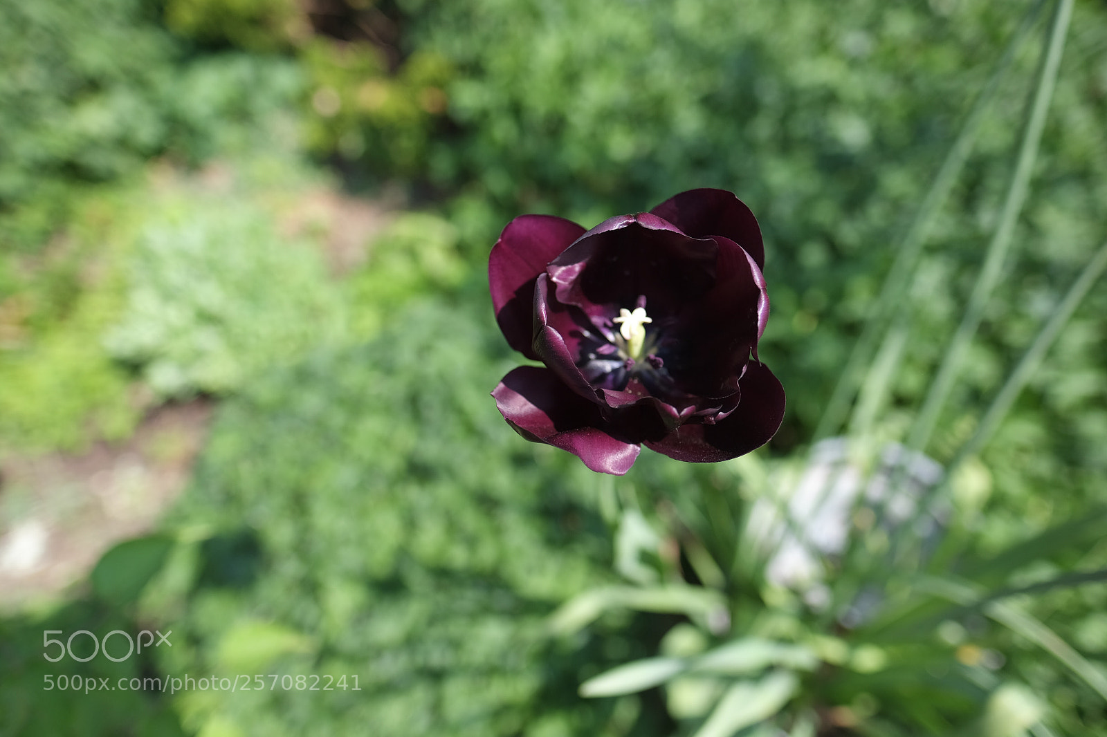 Fujifilm X-T10 sample photo. Untitled photography