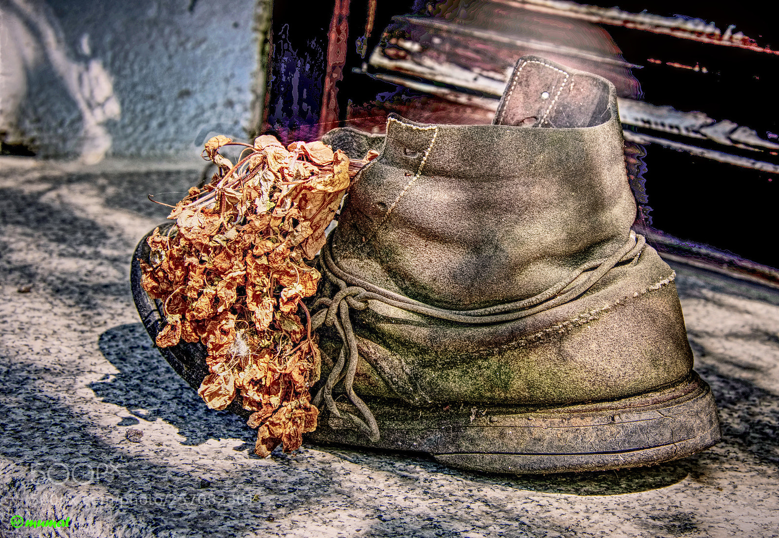 Nikon D7200 sample photo. Scarpone vaso photography