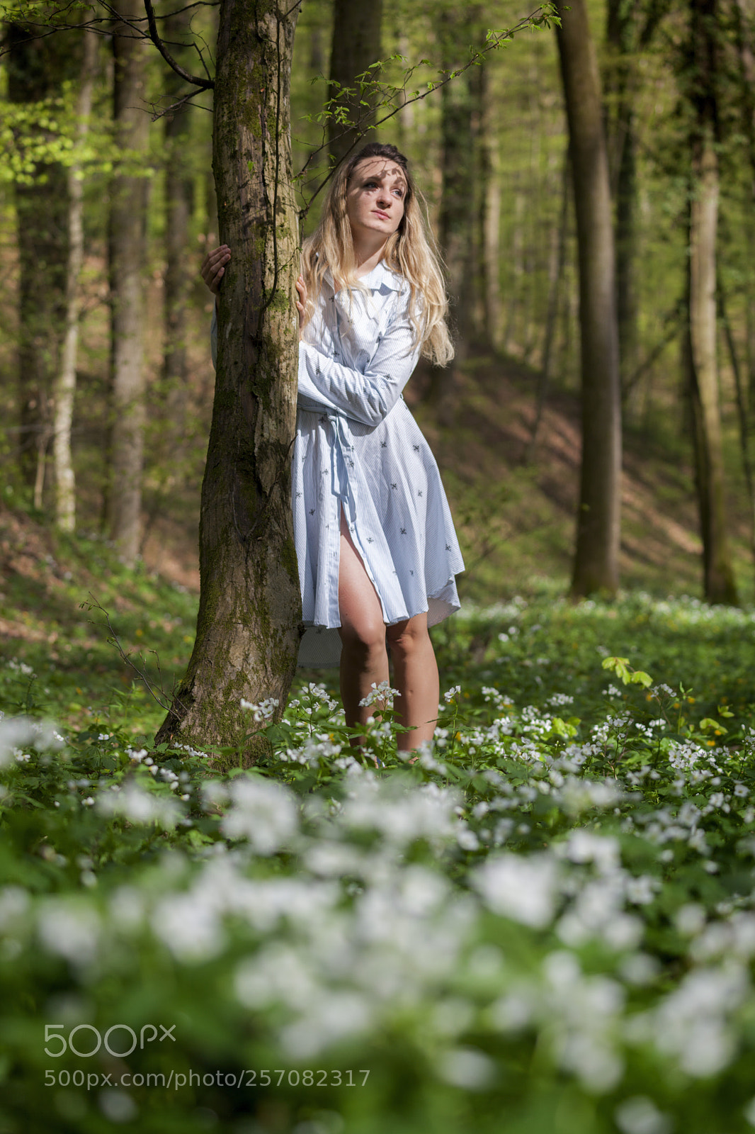 Canon EOS 5D Mark II sample photo. Girl in spring forest photography